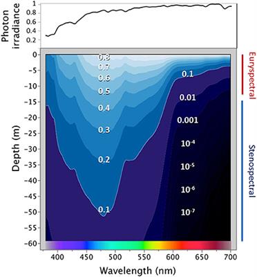 Diversity and Ecological Correlates of Red Fluorescence in Marine Fishes